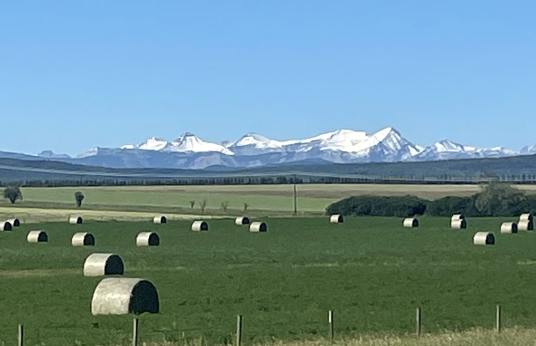 foothills775